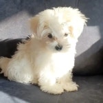 히히서진 - YouTube 히히서진