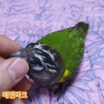 에덴파크 - YouTube 에덴파크