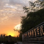 Yuni LIN | Wenzhou University, Wenzhou | Research profile