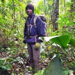 Alain WANDJI | PhD | Doctor of Philosophy | University of Yaounde I, Yaoundé | UY1 | Département de Biologie et Physiologie... 