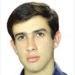 How to calculate the length fraction of a special interphase boundary with OIM software? | ResearchGate