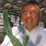 Zoltán OLÁH | docent | Pricipal Investigator (PI) | University of Miskolc, Miskolc | Institute of Chemistry