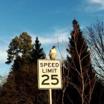 Wei-Jie SUN | Research Associate | PhD | University of Michigan, Ann Arbor | U-M | Department of Atmospheric, Oceanic and Space... 