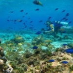 Catherine JADOT | Director of Projects | PhD | Research profile