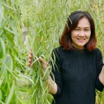 Mayuva AREEKIJSEREE | Professor (Associate) Dr. | Doctor of Philosophy | Silpakorn University, Bangkok | Department of Biology