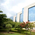 Anne WILSON | The University of Florida Academic Health Center, Jacksonville | UF&Shands | Department of Pediatrics | Research... 