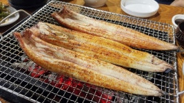 배터지게 먹은 장어구이