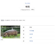 하마와 코뿔소의 별거아닌 진실
