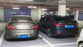 메인카 젠쿱과 세컨카 아반떼스포츠