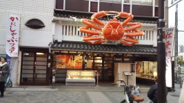 스압 오사카도쿄 7일간 생애 첫 해외여행