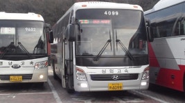 삼화고속 서울경부 동대구 뉴프리미엄 유니버스 노블