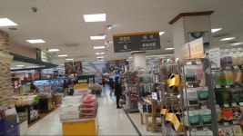 솔플로 두끼! | 음식 갤러리 솔플로 두끼! | 음식 갤러리 | 루리웹