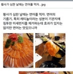 황사가 심한 날에는 연어를 먹자.jpg | 유머 게시판 | 루리웹 모바일