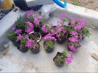 강원도 인제 시골 집짓기 1년간의 기록 | 방사진 사무실 갤러리 강원도 인제 시골 집짓기 1년간의 기록 | 방사진 사무실 갤러리 | 루리웹