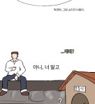 참피 마당 앞 땡칠이