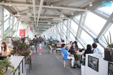 많이 변한 대구 동촌