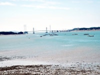 구봉도 | 여행 행사 풍경 사진 갤러리 구봉도 | 여행 행사 풍경 사진 갤러리 | 루리웹