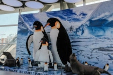 대구신세계백화점 스냅