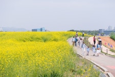 6000 안성휴게소 우동/ 55000 매운 갈비찜 대짜 | 음식 갤러리 | 루리웹 6000 안성휴게소 우동/ 55000 매운 갈비찜 대짜 | 음식 갤러리