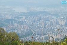 동네 뒷산에서 전투식량 혼밥