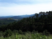 대관령 전망대를 둘러보며.(2018.09.24) | 여행 행사 풍경 사진 갤러리 대관령 전망대를 둘러보며.(2018.09.24) | 여행 행사 풍경 사진 갤러리... 