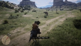 싱글초반에 글리치 없이 레어말을 타보자