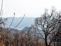 오늘 가평 상지로 드라이브를 했습니다.(+ 대성리역 건너편) | 자동차 갤러리 오늘 가평 상지로 드라이브를 했습니다.(+ 대성리역 건너편) | 자동차... 