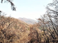 오늘 가평 상지로 드라이브를 했습니다 대성리역 건너편