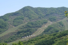 대중교통으로 홀로 당일여행 경기도 광주 화담숲