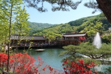 대중교통으로 홀로 당일여행 경기도 광주 화담숲
