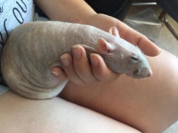 대물인증한다 짤리기전에 봐라
