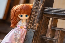 추석기념 남산 한옥마을 출사