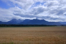 유럽 여행기 2편 알프스의 눈동자 블레드 호수 스압