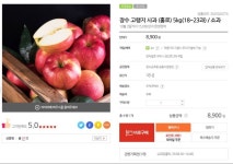 [우체국쇼핑] 장수 고랭지 사과 5kg(18~23과) (8,900원/무배) | 유저 예판 핫딜 뽐뿌 게시판 [우체국쇼핑] 장수 고랭지 사과 5kg(18~23과) (8... 