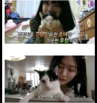 뇌성마비 고양이 집사 근황jpg