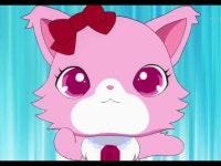 쥬얼펫 2차 요청 가넷 사진