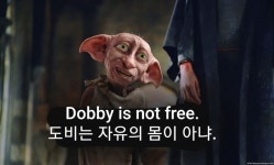 도비님 총대 출마 선언 후 바뀐건 이거뿐임 | 정치유머 게시판 도비님 총대 출마 선언 후 바뀐건 이거뿐임 | 정치유머 게시판 | 루리웹