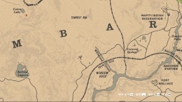 길가다 우연히 찾은 인삼농장