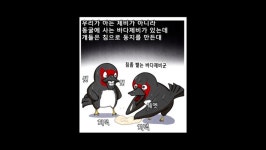 유게이들 환장하는 제비집