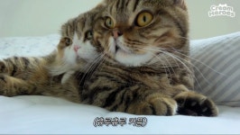 루루도 연애해오 | 정치유머 게시판 | 루리웹 루루도 연애해오 | 정치유머 게시판