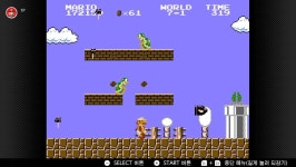 슈퍼 마리오 브라더스