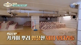 세상에서 가장비싼 돼지고기 | (백업)유머 게시판(2018-2020) 세상에서 가장비싼 돼지고기 | (백업)유머 게시판(2018-2020) | 루리웹