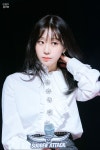러블리즈 20200201 흰물결아트센터 화이트홀 서든어택 팬미팅 사진들