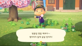 실험해본 벚꽃이 피는 조건입니다(내용추가) | 모여봐요! 동물의 숲 제가 실험해본 벚꽃이 피는 조건입니다(내용추가) | 모여봐요! 동물의 숲 | 루리웹