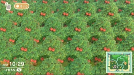 동숲 과일 농장주 클라스