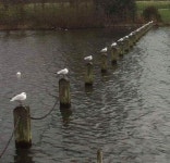 공포 저주받은 강원도 농장에서의 악몽 청곡리조트