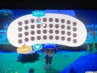 마일섬 갔는데 타란튤라섬이네요ㅠㅠ