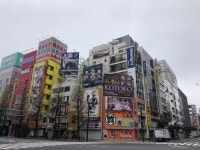 어제 오늘 아키하바라 실시간 사진