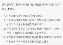 에그머니나 이게뭐람? | 유머 게시판 | 루리웹 에그머니나 이게뭐람? | 유머 게시판