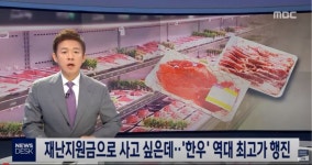 자랑스런 우리 한우 근황 | 유머 게시판 | RULIWEB 자랑스런 우리 한우 근황 | 유머 게시판 | 루리웹